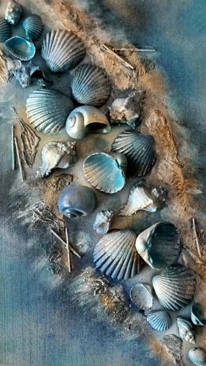 Shells and sea
